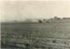 1963.11.21 - Sopralluogo del Comitato di gestione della Tenuta di Tombolo - Semina grano Podere Scalbatrio a C/D